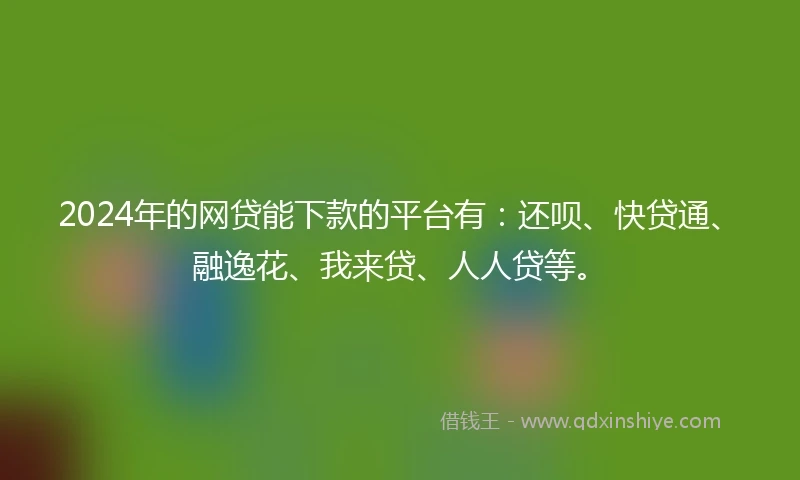 2024年的网贷能下款的平台有：还呗、快贷通、融逸花、我来贷、人人贷等。