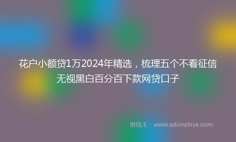 花户小额贷1万2024年精选，梳理五个不看征信无视黑白百分百下款网贷口子