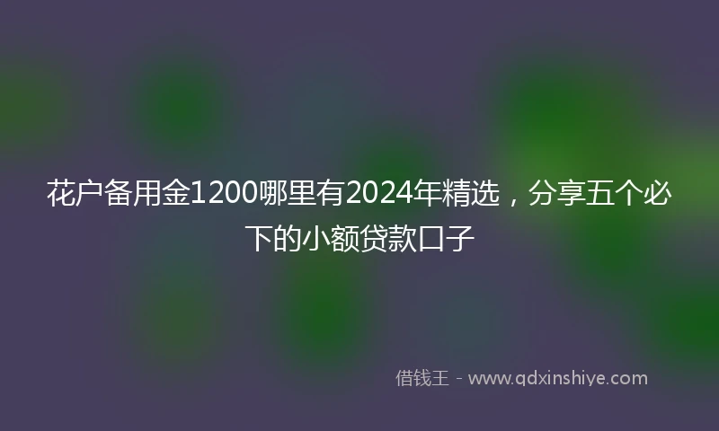 花户备用金1200哪里有2024年精选,分享五个必下的小额贷款口子