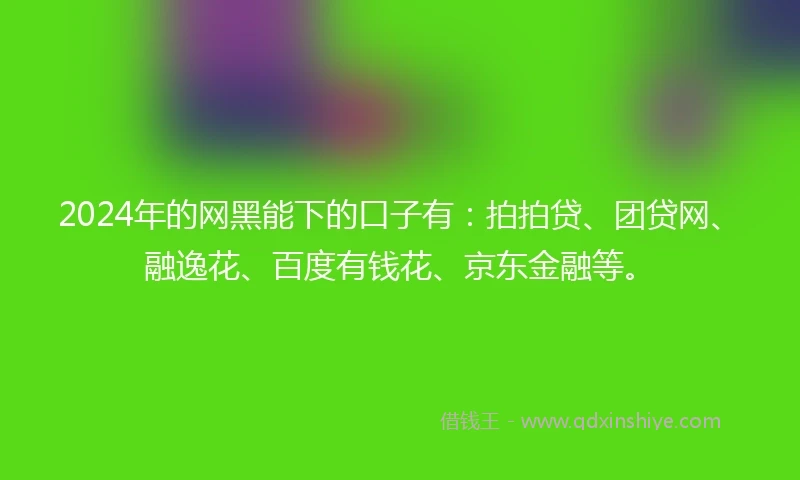 2024年的网黑能下的口子有：拍拍贷、团贷网、融逸花、百度有钱花、京东金融等。