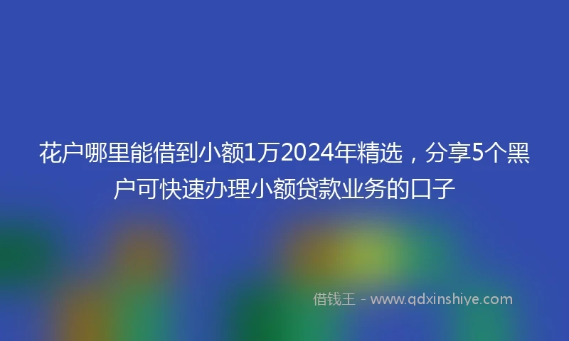 花户哪里能借到小额1万2024年精选，分享5个黑户可快速办理小额贷款业务的口子