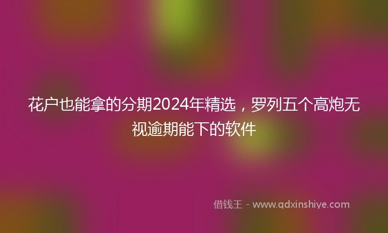 花户也能拿的分期2024年精选，罗列五个高炮无视逾期能下的软件