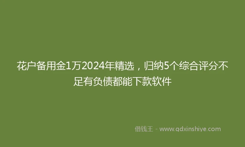 花户备用金1万2024年精选，归纳5个综合评分不足有负债都能下款软件