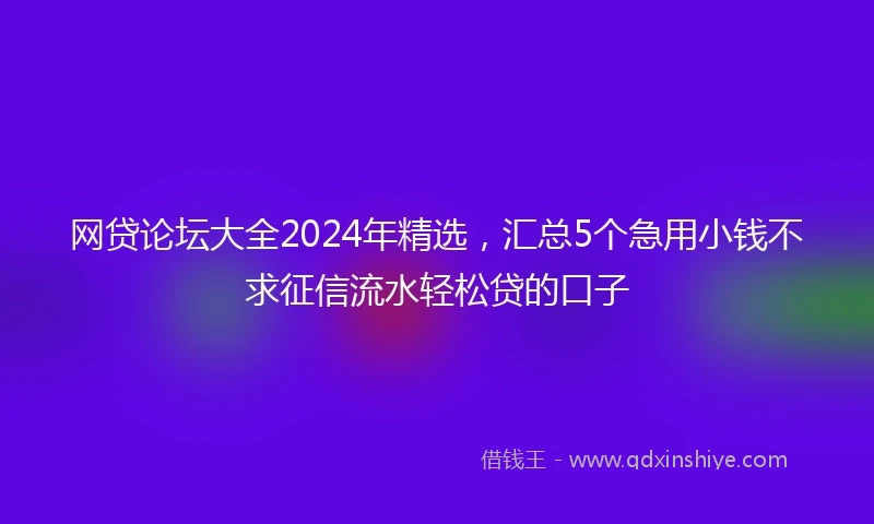 网贷论坛大全2024年精选，汇总5个急用小钱不求征信流水轻松贷的口子
