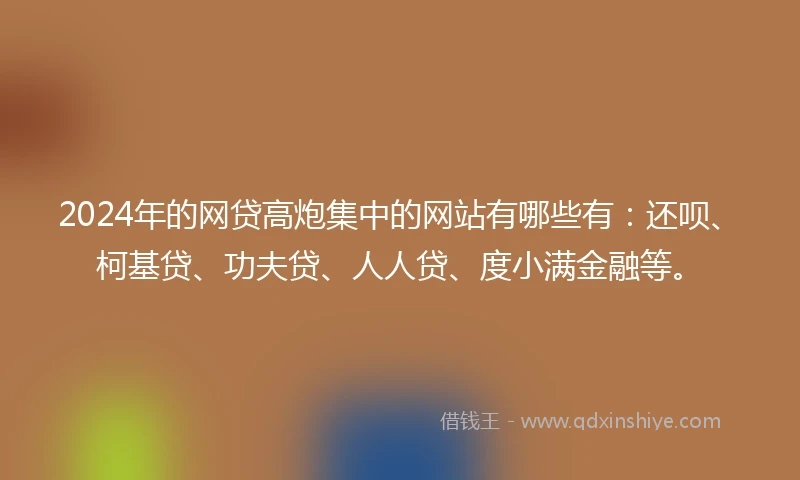 2024年的网贷高炮集中的网站有哪些有：还呗、柯基贷、功夫贷、人人贷、度小满金融等。