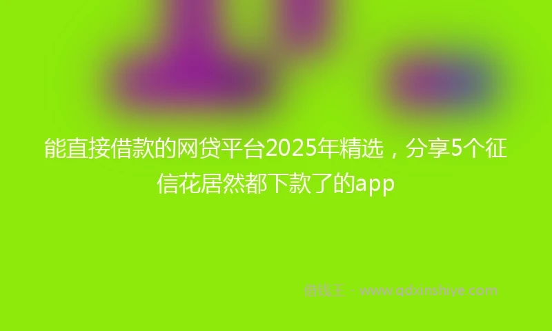 能直接借款的网贷平台2025年精选，分享5个征信花居然都下款了的app