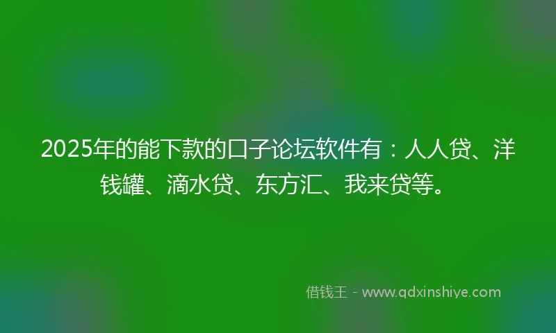 2025年的能下款的口子论坛软件有：人人贷、洋钱罐、滴水贷、东方汇、我来贷等。