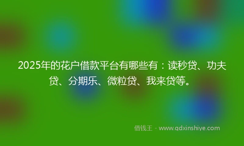 2025年的花户借款平台有哪些有：读秒贷、功夫贷、分期乐、微粒贷、我来贷等。
