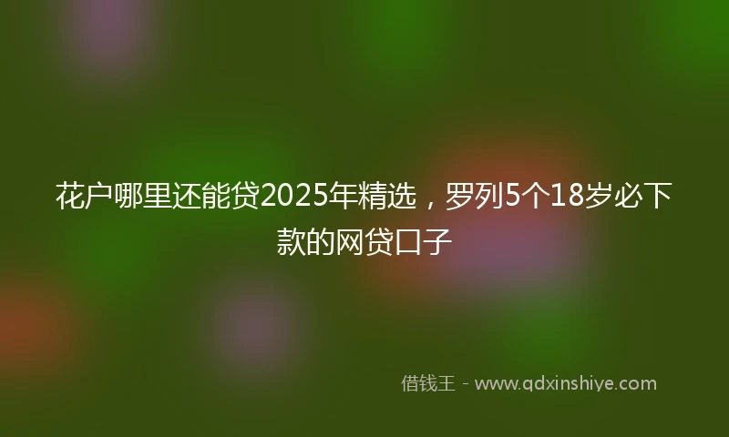 花户哪里还能贷2025年精选，罗列5个18岁必下款的网贷口子