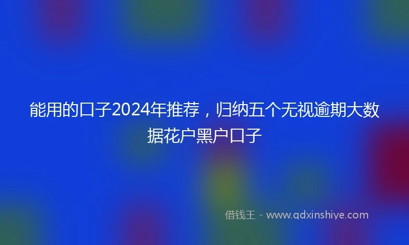 能用的口子2024年推荐，归纳五个无视逾期大数据花户黑户口子