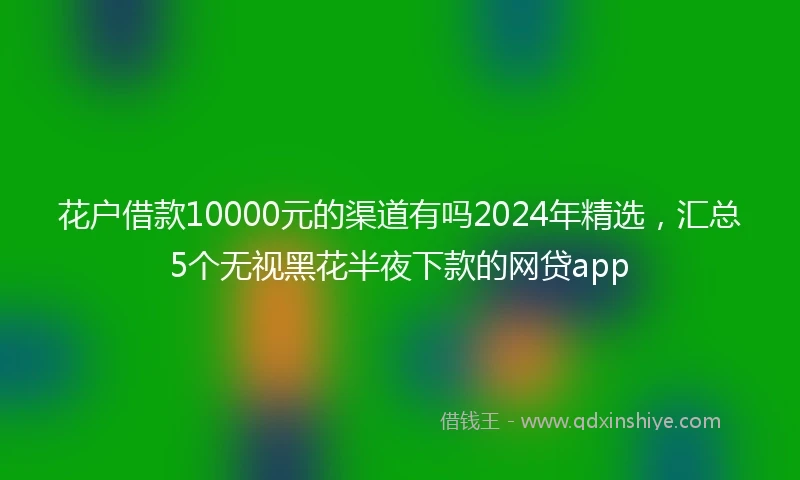 花户借款10000元的渠道有吗2024年精选，汇总5个无视黑花半夜下款的网贷app