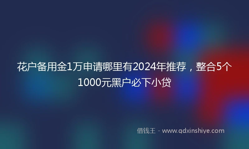 花户备用金1万申请哪里有2024年推荐，整合5个1000元黑户必下小贷