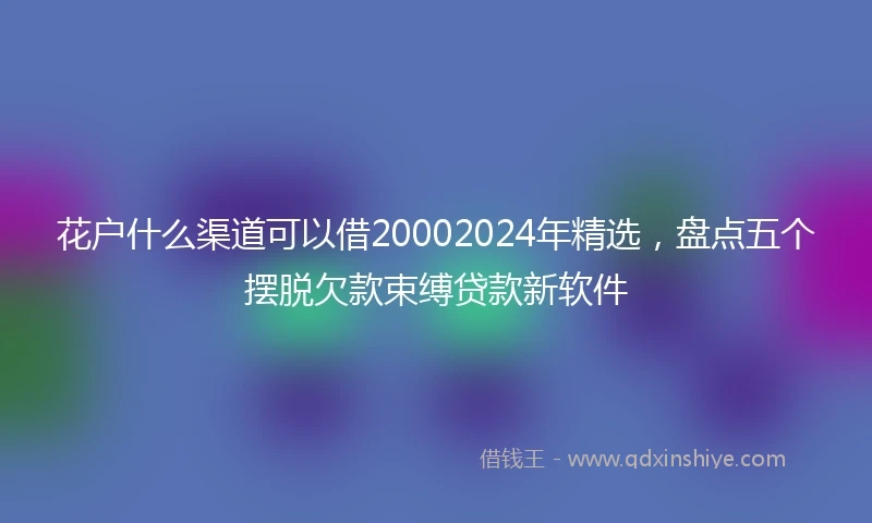 花户什么渠道可以借20002024年精选，盘点五个摆脱欠款束缚贷款新软件
