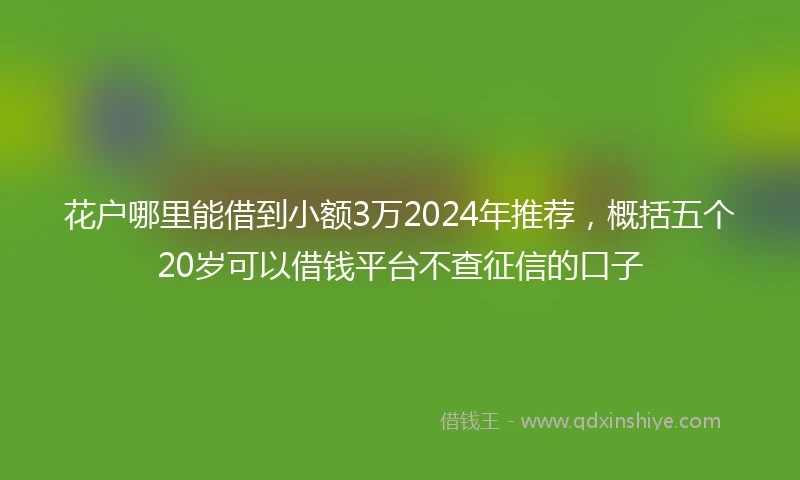 花户哪里能借到小额3万2024年推荐，概括五个20岁可以借钱平台不查征信的口子