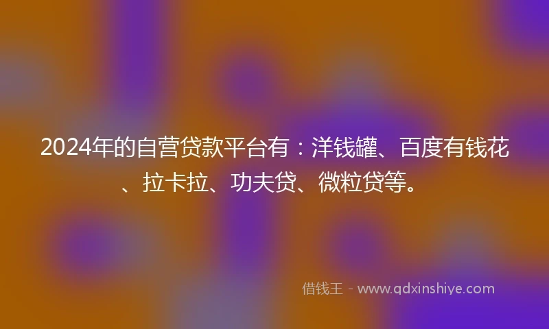 2024年的自营贷款平台有：洋钱罐、百度有钱花、拉卡拉、功夫贷、微粒贷等。