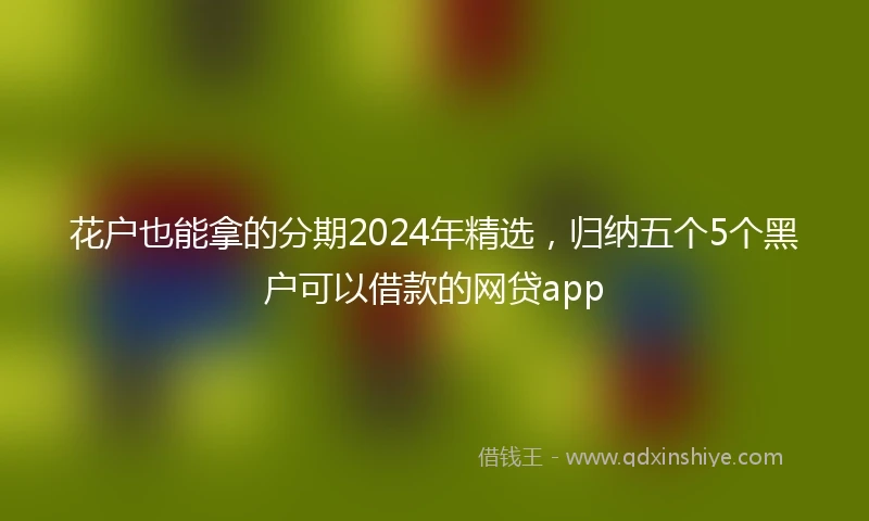 花户也能拿的分期2024年精选，归纳五个5个黑户可以借款的网贷app