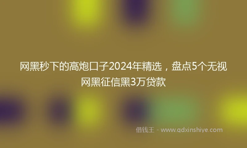 网黑秒下的高炮口子2024年精选，盘点5个无视网黑征信黑3万贷款