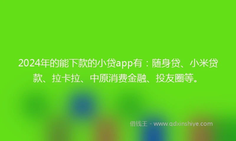 2024年的能下款的小贷app有：随身贷、小米贷款、拉卡拉、中原消费金融、投友圈等。