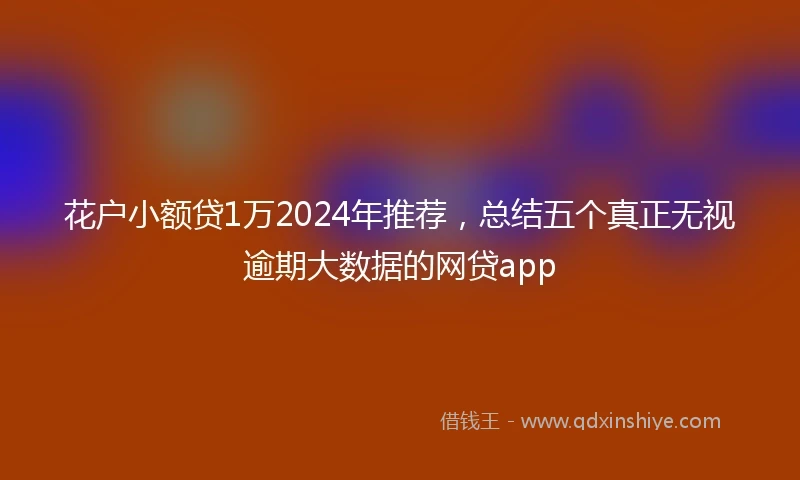 花户小额贷1万2024年推荐，总结五个真正无视逾期大数据的网贷app