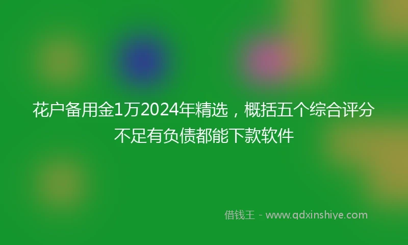 花户备用金1万2024年精选，概括五个综合评分不足有负债都能下款软件