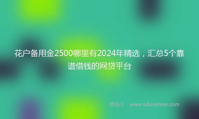 花户备用金2500哪里有2024年精选，汇总5个靠谱借钱的网贷平台