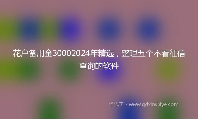 花户备用金30002024年精选，整理五个不看征信查询的软件