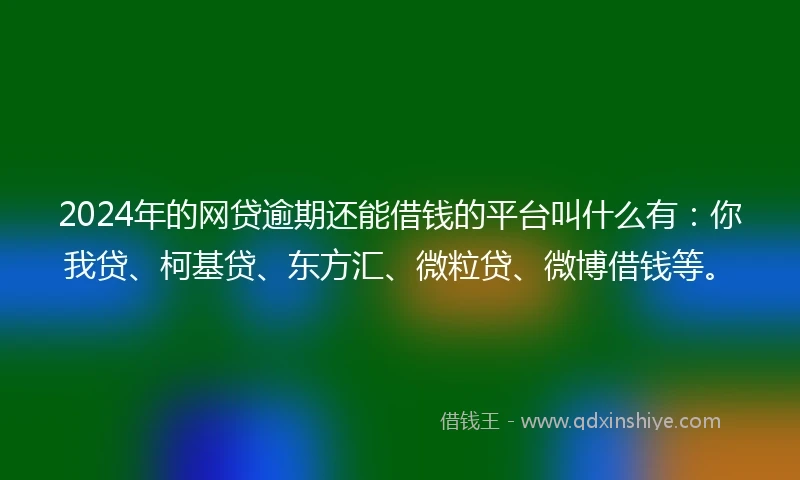 2024年的网贷逾期还能借钱的平台叫什么有：你我贷、柯基贷、东方汇、微粒贷、微博借钱等。