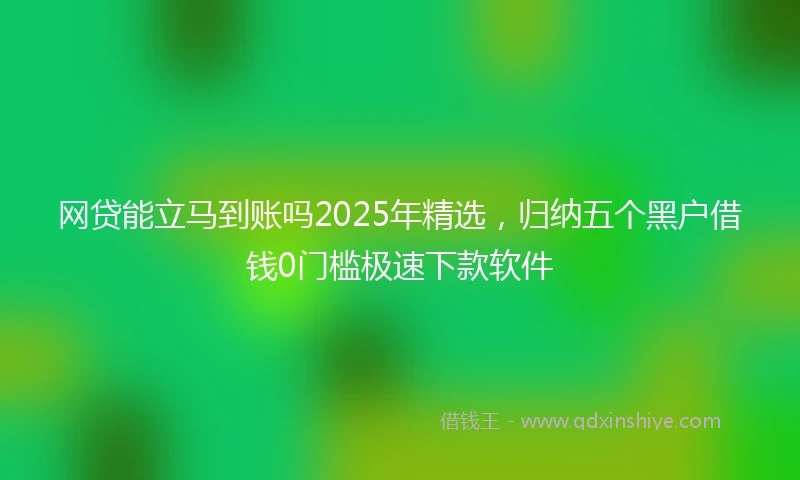 网贷能立马到账吗2025年精选，归纳五个黑户借钱0门槛极速下款软件