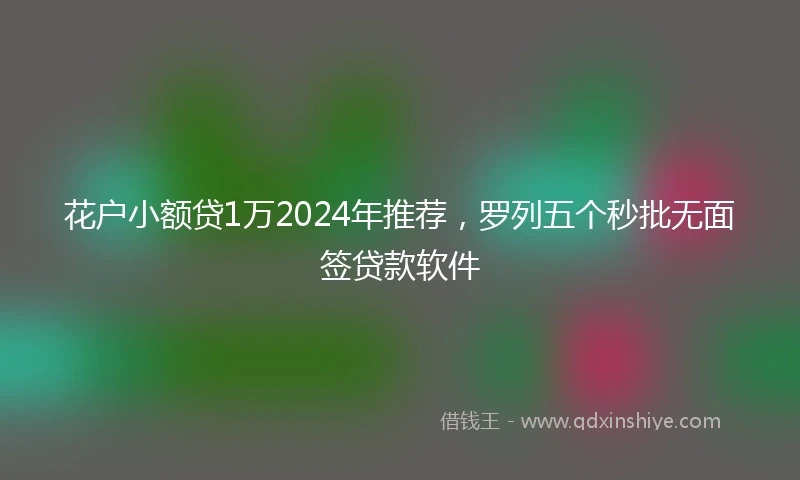 花户小额贷1万2024年推荐，罗列五个秒批无面签贷款软件
