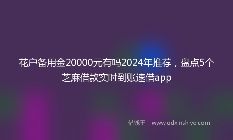 花户备用金20000元有吗2024年推荐，盘点5个芝麻借款实时到账速借app