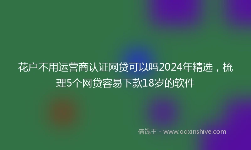 花户不用运营商认证网贷可以吗2024年精选，梳理5个网贷容易下款18岁的软件