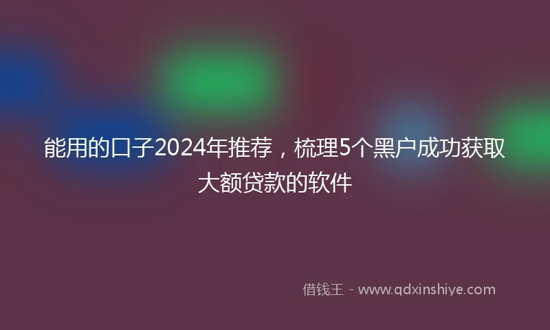 能用的口子2024年推荐，梳理5个黑户成功获取大额贷款的软件