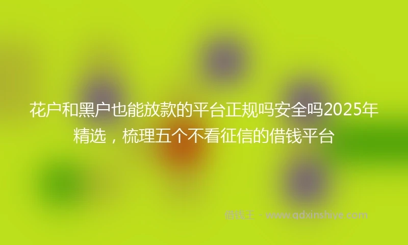 花户和黑户也能放款的平台正规吗安全吗2025年精选，梳理五个不看征信的借钱平台