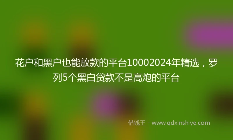 花户和黑户也能放款的平台10002024年精选，罗列5个黑白贷款不是高炮的平台