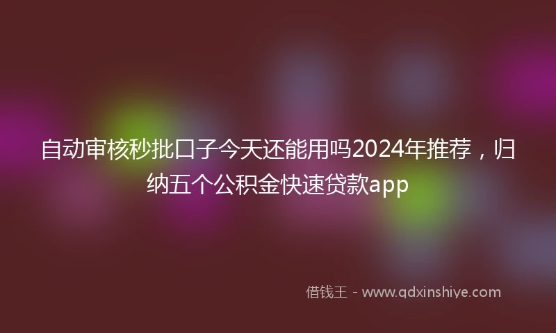 自动审核秒批口子今天还能用吗2024年推荐，归纳五个公积金快速贷款app