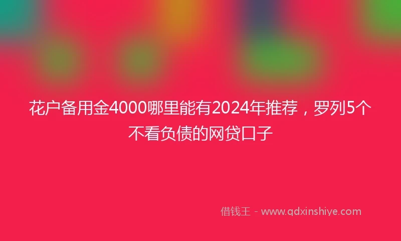 花户备用金4000哪里能有2024年推荐，罗列5个不看负债的网贷口子