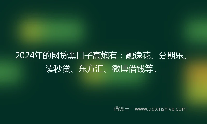 2024年的网贷黑口子高炮有：融逸花、分期乐、读秒贷、东方汇、微博借钱等。