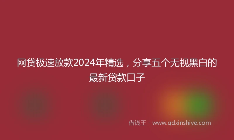 网贷极速放款2024年精选，分享五个无视黑白的最新贷款口子