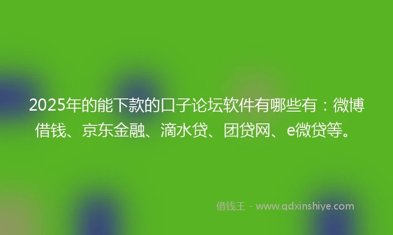 2025年的能下款的口子论坛软件有哪些有：微博借钱、京东金融、滴水贷、团贷网、e微贷等。