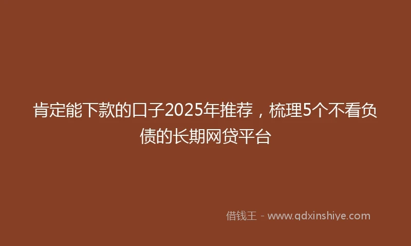 肯定能下款的口子2025年推荐，梳理5个不看负债的长期网贷平台