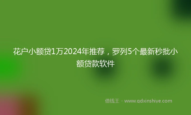花户小额贷1万2024年推荐，罗列5个最新秒批小额贷款软件