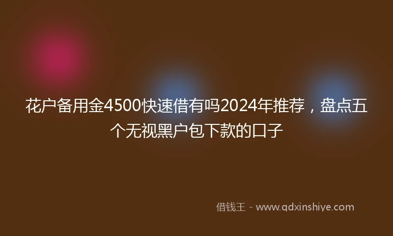 花户备用金4500快速借有吗2024年推荐，盘点五个无视黑户包下款的口子