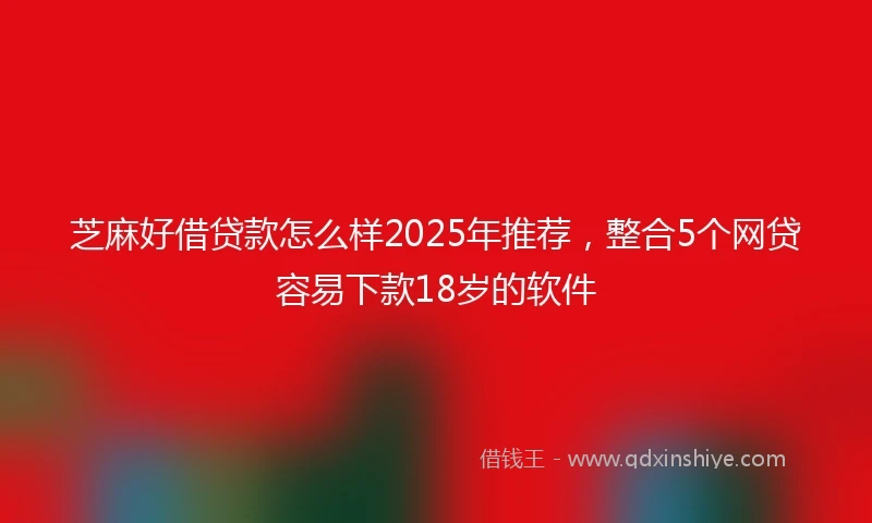 芝麻好借贷款怎么样2025年推荐，整合5个网贷容易下款18岁的软件