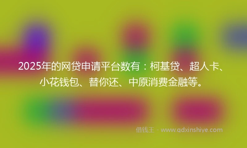 2025年的网贷申请平台数有：柯基贷、超人卡、小花钱包、替你还、中原消费金融等。