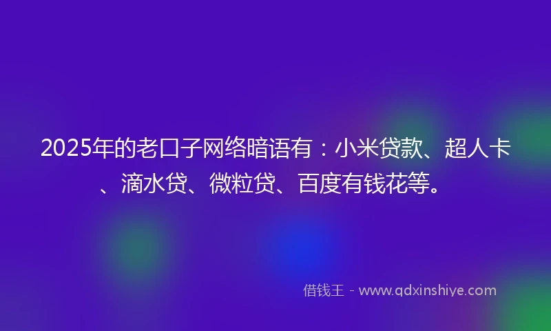 2025年的老口子网络暗语有：小米贷款、超人卡、滴水贷、微粒贷、百度有钱花等。
