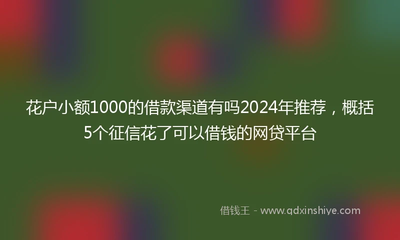 花户小额1000的借款渠道有吗2024年推荐，概括5个征信花了可以借钱的网贷平台