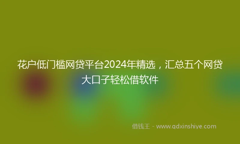 花户低门槛网贷平台2024年精选，汇总五个网贷大口子轻松借软件