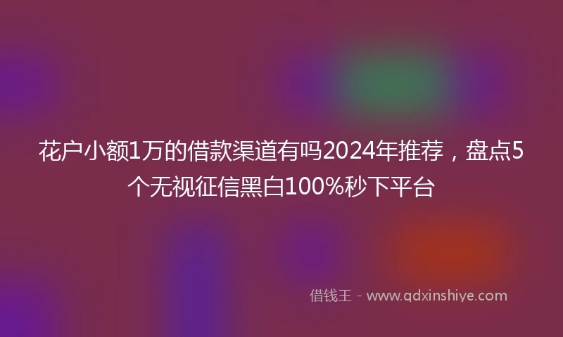 花户小额1万的借款渠道有吗2024年推荐,盘点5个无视征信黑白100%秒下平台