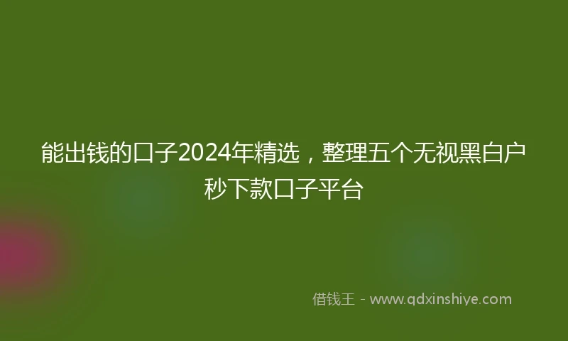能出钱的口子2024年精选，整理五个无视黑白户秒下款口子平台