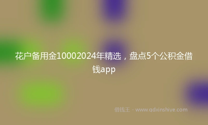 花户备用金10002024年精选，盘点5个公积金借钱app